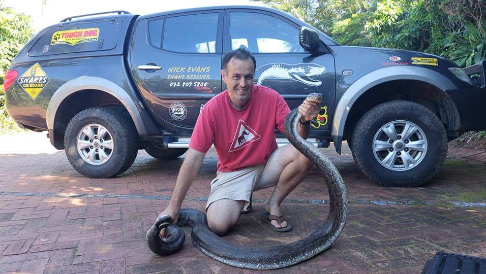 Snake catcher and conservationist Nick Evans with the 15kg snake he removed from under the geyser.PHOTO: Facebook/Nick Evans