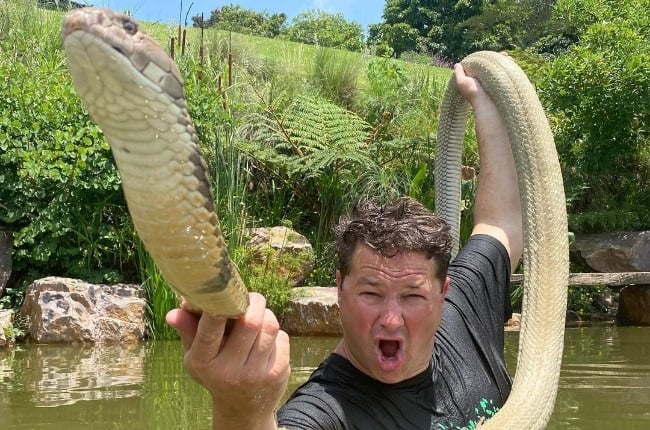Dingo Dinkelman with Thor, his 
Malaysian King Cobra pet snake 
that he’s shared many adventures with. (PHOTO: Instagram)