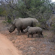 Profile: Anke Kruger de Rosner, anti-poaching ranger