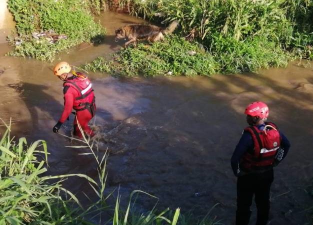 File photo - Rescue teams search a river in KZN.