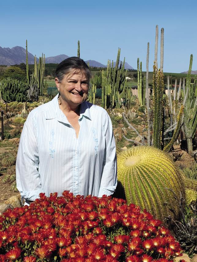 Minette Schwegmann van die Sheilam-kaktuskwekery by ’n Skoonma-se-kussing in volle blom.