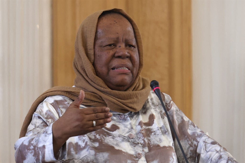 News24 | Pandor leads SA's delegation to The Hague to hear the ICJ judgment in genocide case against Israel