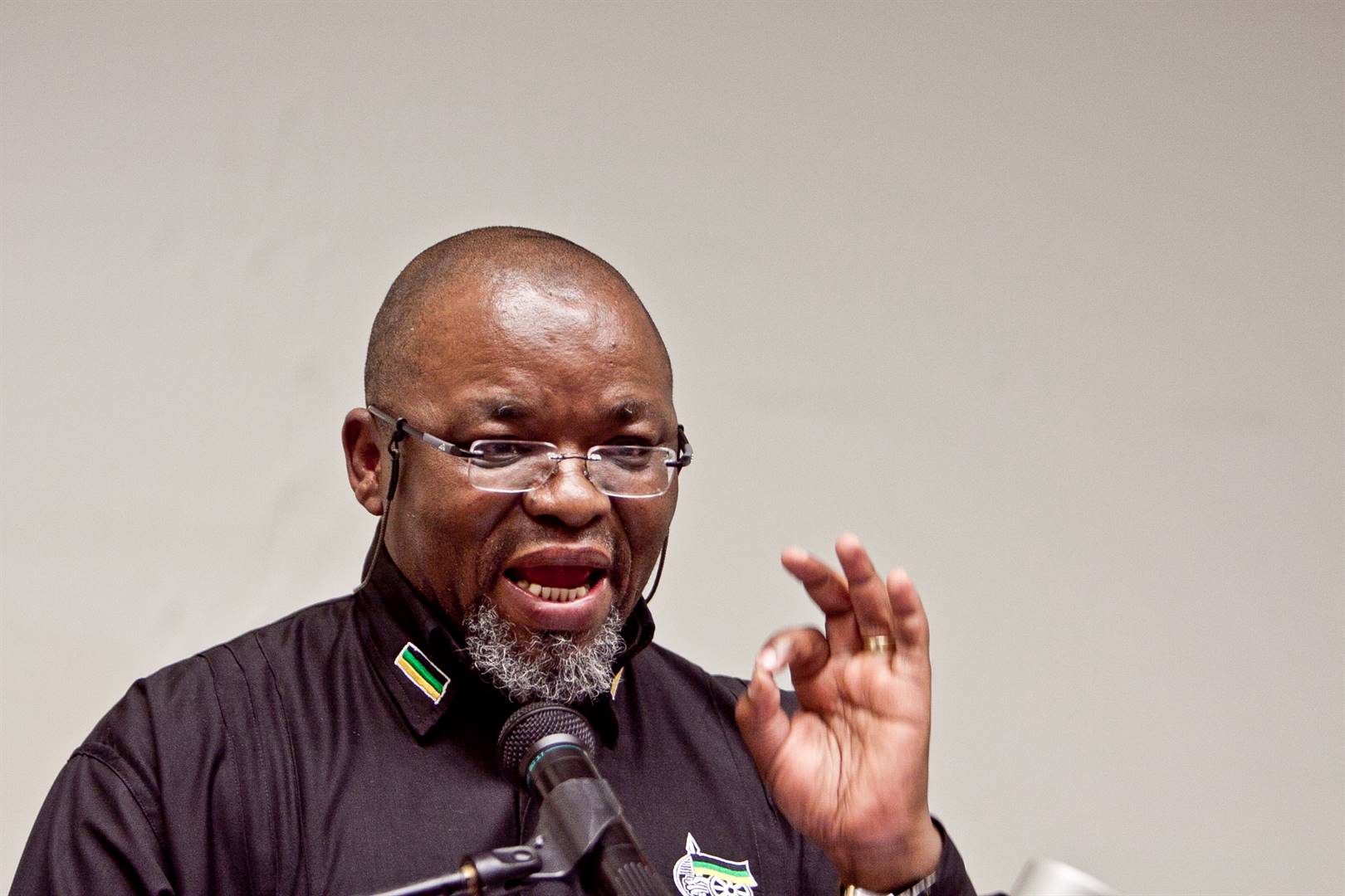 Mineral Resources and Energy Minister Gwede Mantashe previously called the dumping of coal "economic suicide" and that switching off  coal plants would allow South Africans to "breathe fresh air in the darkness"
