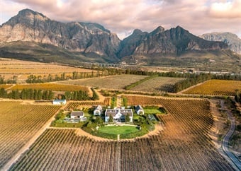Paarl's secret paradise: Brookdale Estate's transformation from overgrown farm to wine wonderland