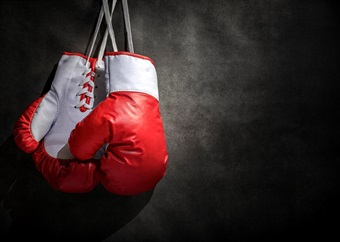Promoters’ structure to challenge court ruling that favoured Boxing SA and minister Kodwa