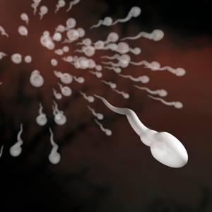 What you eat could supercharge your sperm. 