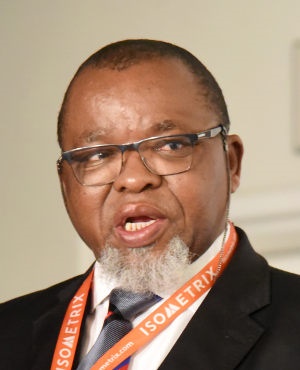 Minister of Energy and Mineral Resources Gwede Mantashe (Gallo Images/Business Day/Freddy Mavunda)