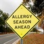 Allergy-proof your holiday!