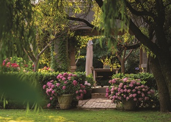 Reader garden: Interior designer finds her true passion in the garden