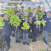 Vredekloof Primary School's vegetable garden flourishes