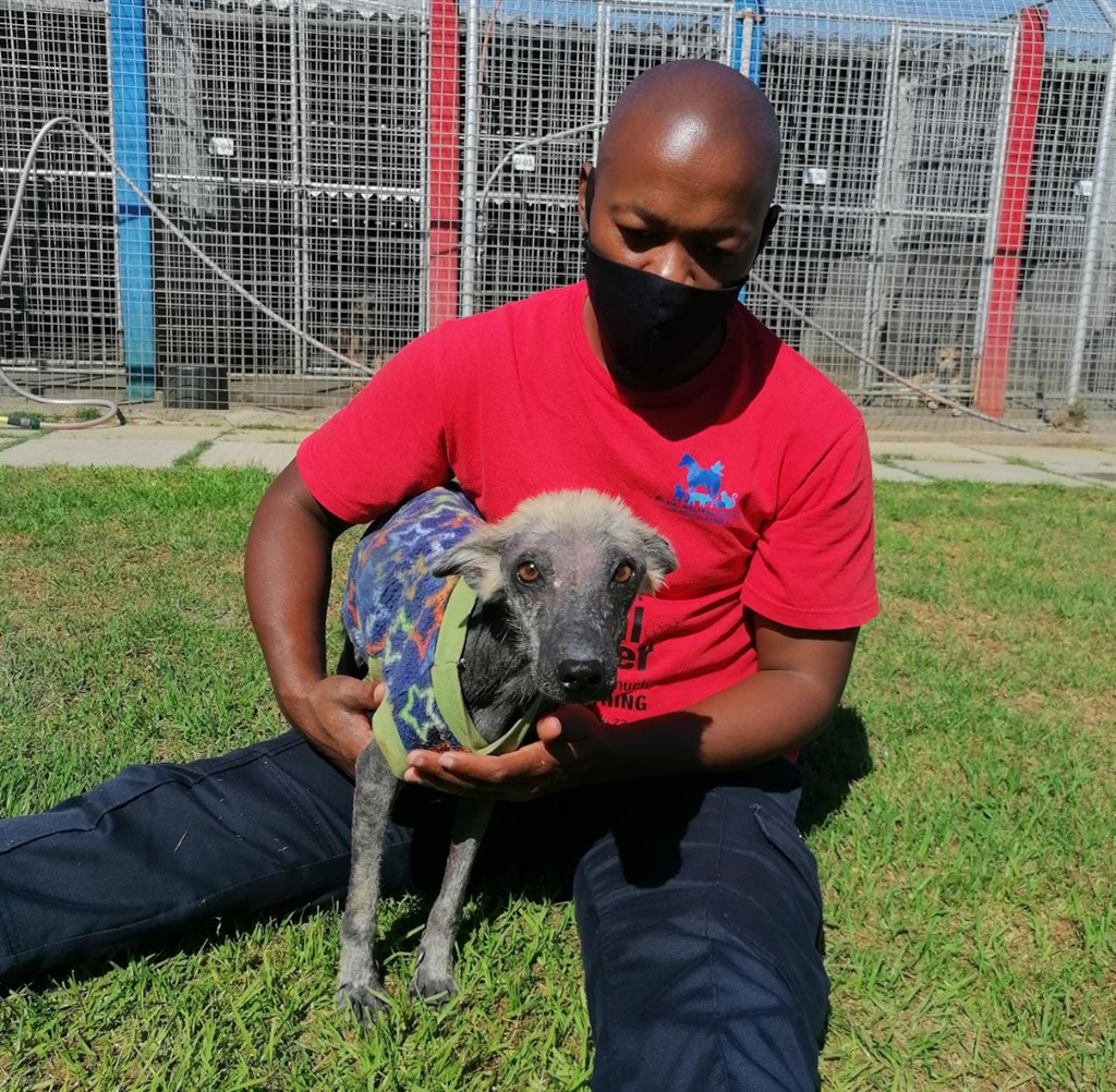 Kuhle with an Animal Welfare Society worker