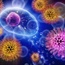 First US patient with China coronavirus is diagnosed in Washington State