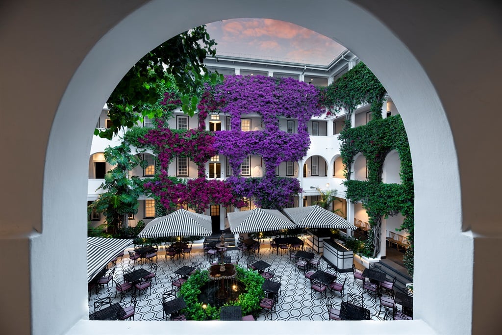 The bougainvillea in the Winchester Hotel courtyard.