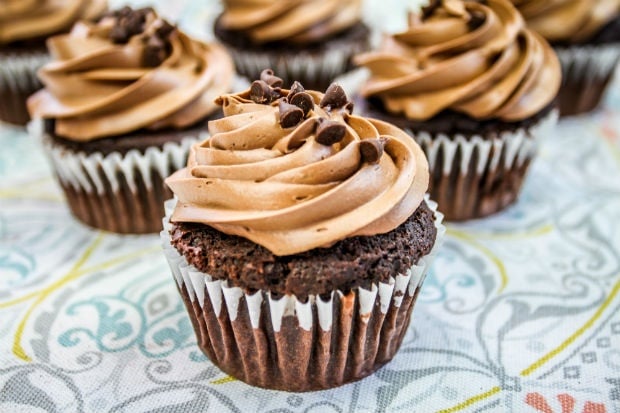 chocolate cupcakes with buttercream