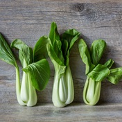 Eight super-healthy leafy greens and why you should eat them