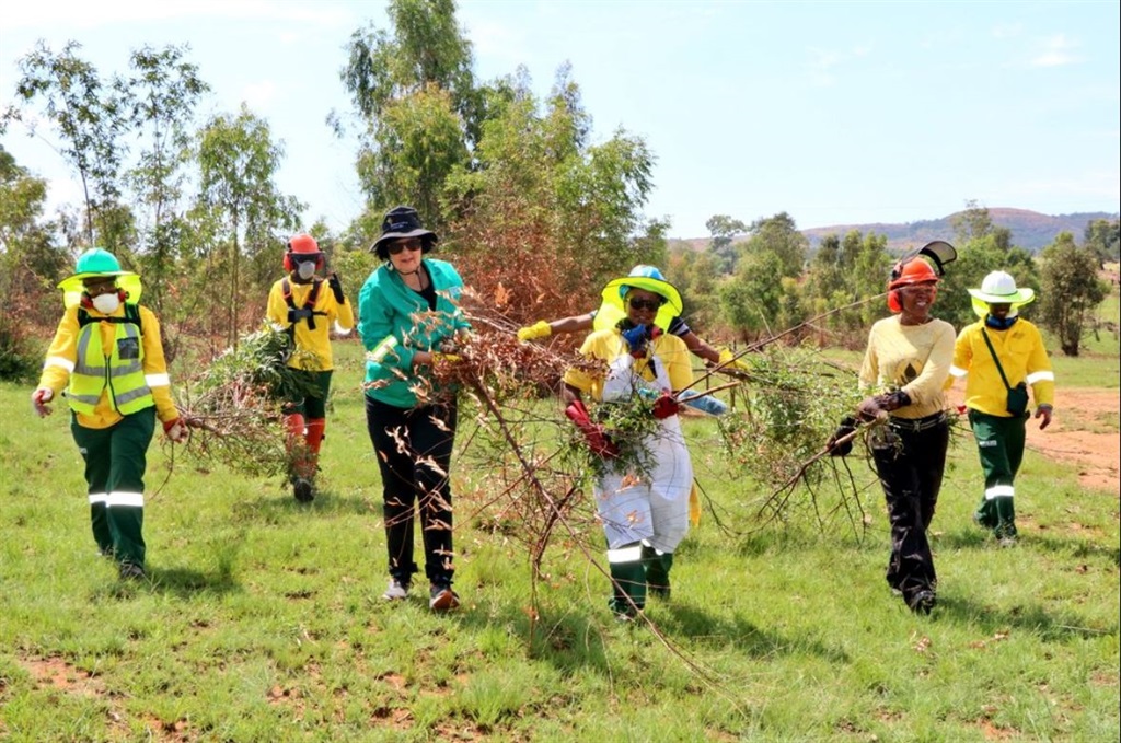 Forestry, Fisheries and Environment Minister Barbara Creecy at the launch of the Working for Water Programme, which involves clearing alien invasive plant species.