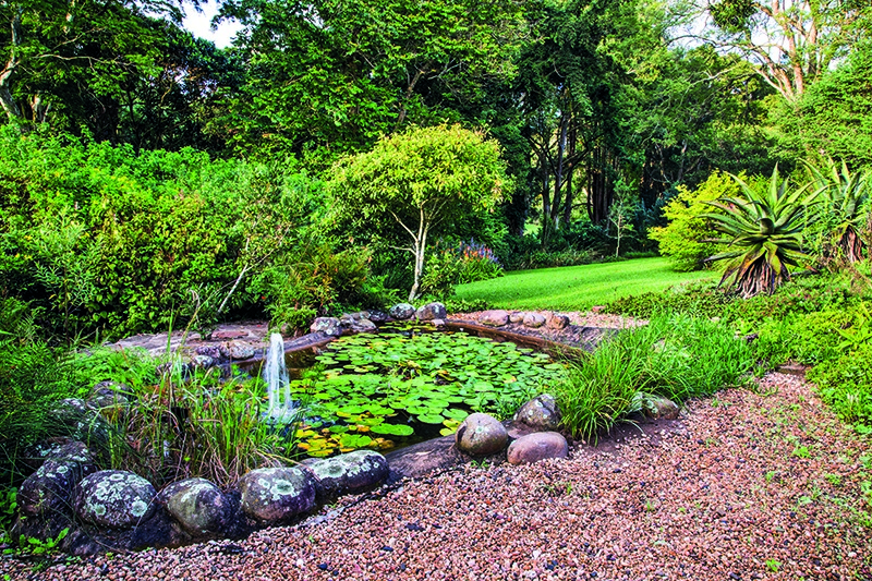 The pond is a self-sustaining ecosystem with fish, frogs and water lilies; ornamental grasses are planted on the edge. It is topped up with run-off water from the paving around the house and cottage.