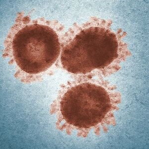 The latest strain of coronavirus is spreading at a rapid pace and it's hard to determine how many more people can be affected. 
