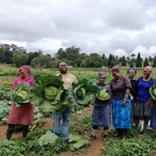 WWF Nedbank Green Trust helping women farm and protect their own land