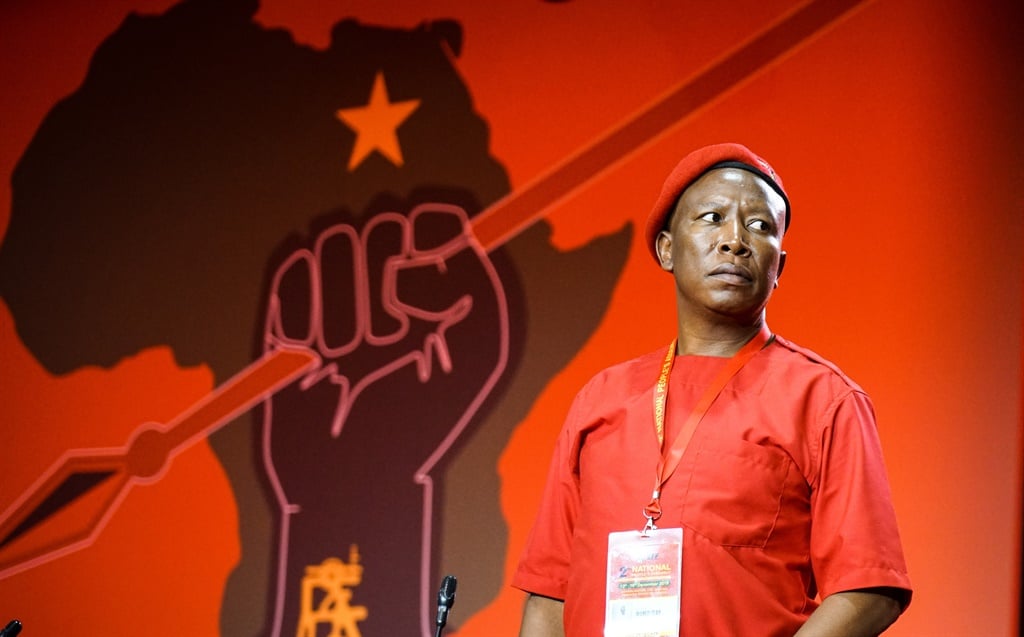 EFF leader Julius Malema. (Chanté Schatz, News24)