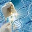 CRISPR Gene editing creates 'designer' immune cells that fight cancer