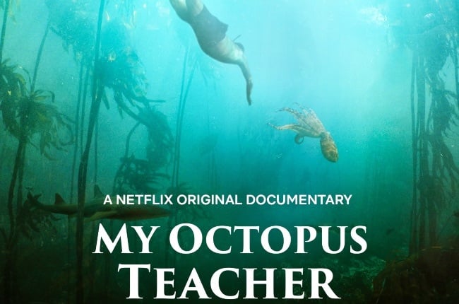 My Octopus Teacher holds the distinction of being the first South African film to be turned into a Netflix Original. (PHOTO: Netflix)