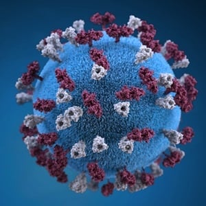 Researchers of a latest study hopes that their findings will help other researchers to develop treatment or vaccines for the new coronavirus.