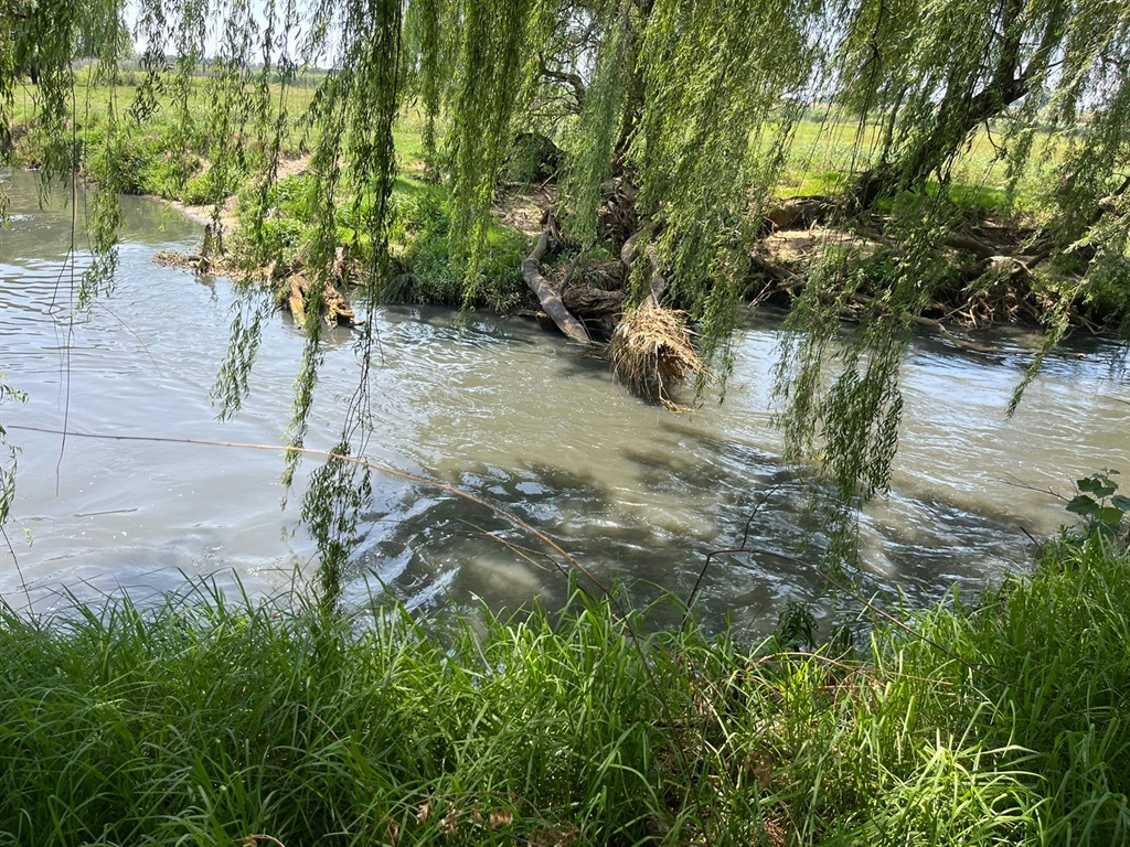 The side of the river where the body was recovered. Photo by Nhlanhla Khomola