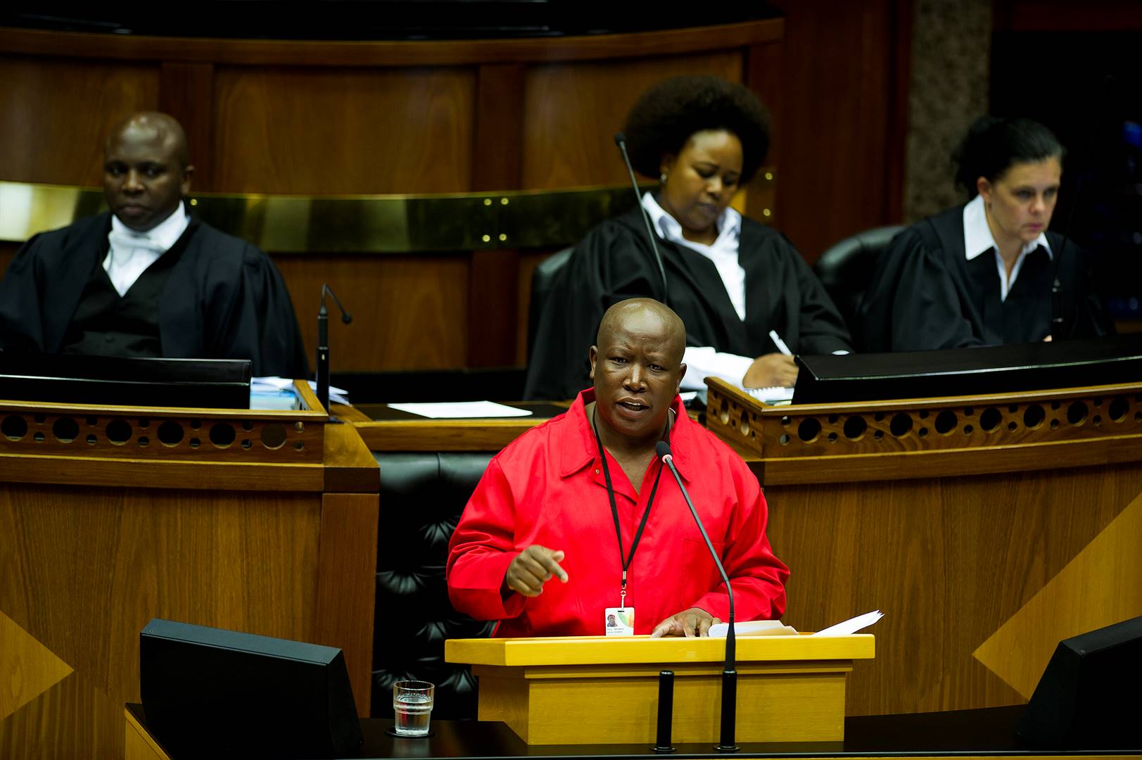 EFF leader Julius Malema.