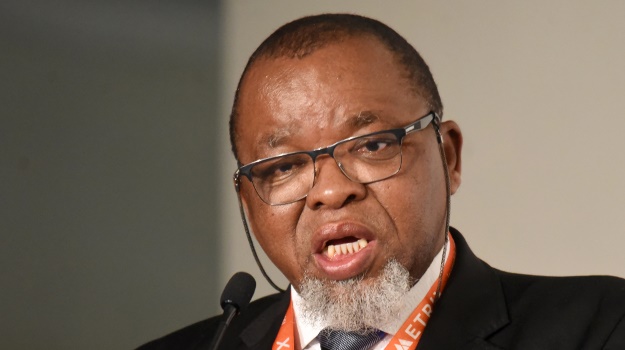 Mineral Resources and Energy Minister Gwede Mantashe (Gallo Images/Business Day/Freddy Mavunda)