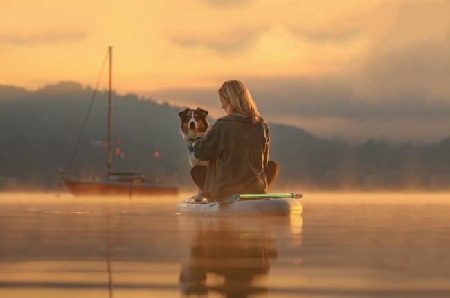 News, international, dogs, Dog Photography Awards