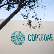 SA, Brazil and others want COP28 to tackle 'unilateral, coercive' trade measures 